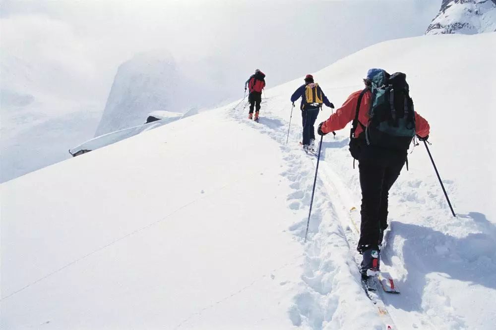 南山文化旅游區游玩攻略